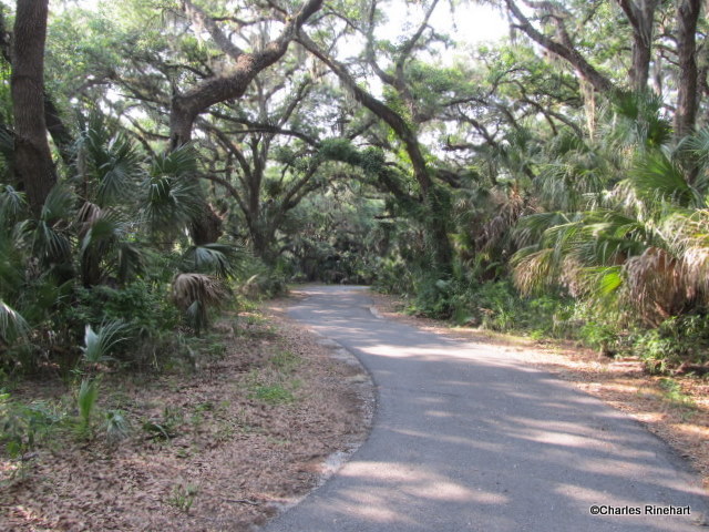 Scenic Section At Rothenbach Park In Sarasota Florida