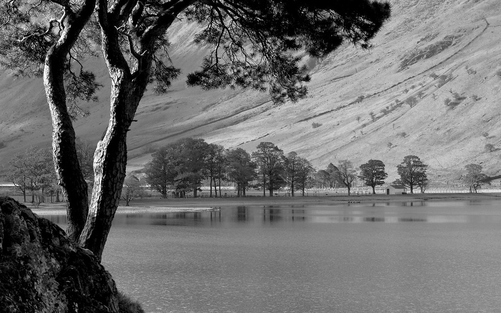 Buttermere by Doctor Syntax