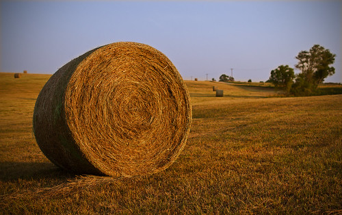 trees sunset sky field canon lens 14 farming sharp ii 7d hay bail 24l taylorbennett