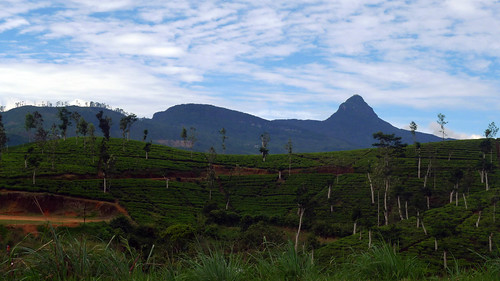 srilanka 2010 adamspeak centralprovince siripada