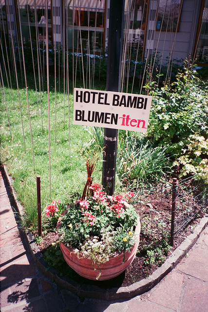Hotel Bambi