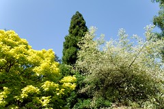 Chartwell House Gardens 02