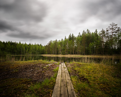 lake nature finland woods ammejärvi ´tampere