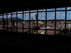 view from torre guinigi