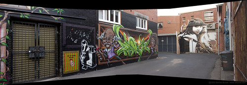 urban panorama streetart graffiti australia nsw lismore backalleygallery