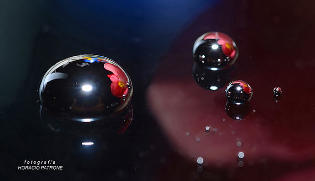 REFLECTIONS ON DROPS