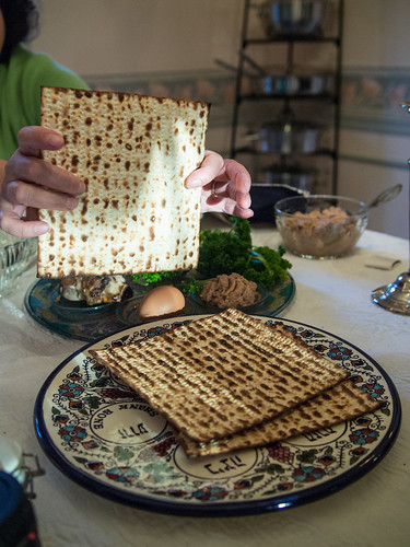 Passover Seder | by Edsel L