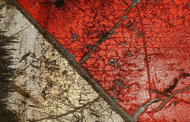 The Colors of Red and Dirt - A Textural Study