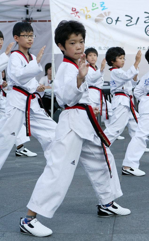 Северное тхэквондо. Taekwondo Северная Корея. Южная Корея тхэквондо. Хапкидо в Южной Корее. Корея спорт Хапкидо.