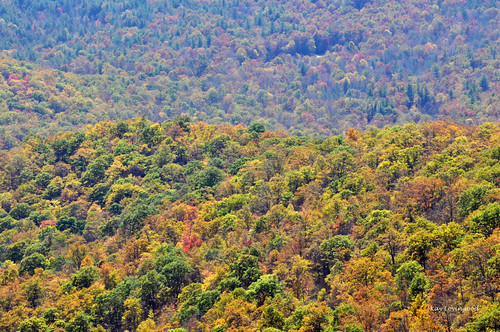 MOUNTAIN COLORS | Photos from the Asheville, NC area during … | Flickr