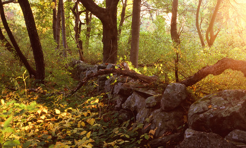 Odiorne Sunset by KeithRembisz, Pentax 645
45mm F3.5
Fuji Velvia 100us unitedstates newhampshire rye