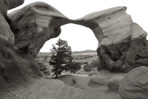 Devils Garden | by kpgoldman.nature