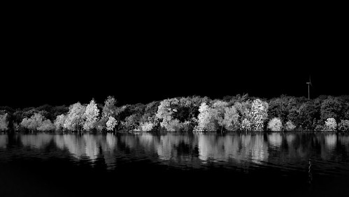 blackandwhite reflections fallcolor 70200 landscapewater sony70200 sonya7rii
