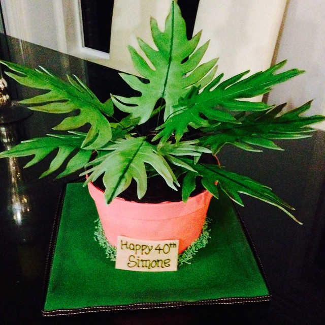 Philodendron Cake