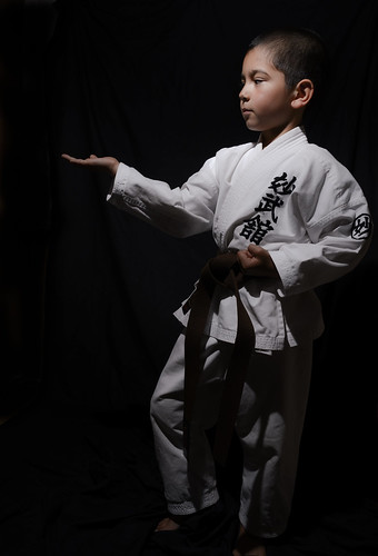 Okinawa Karate - Shōrin-ryū | Strobist Info Nikon D7000 1X y… | Flickr