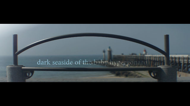 dark seaside of the baby hypergonard on Vimeo by Seb Farges