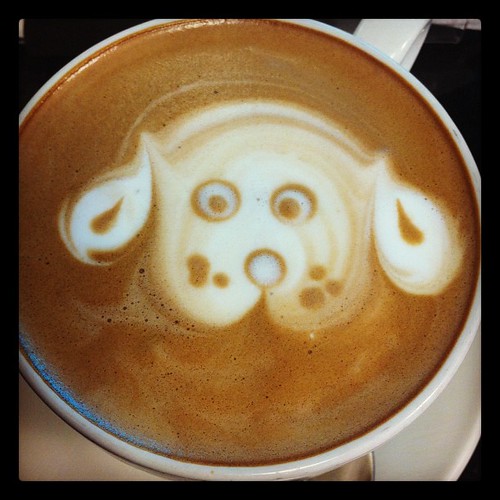Coffee art follows | Esra Dogramaci | Flickr