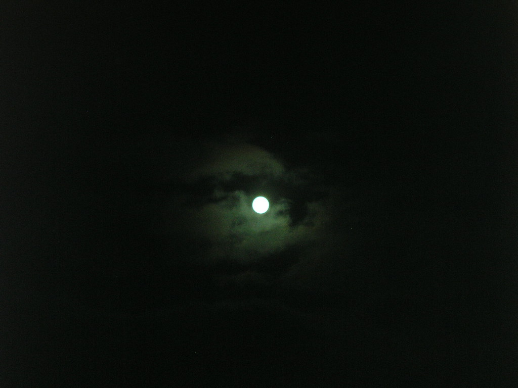 Moon 4 | OLYMPUS DIGITAL CAMERA | Chris Walton Durham | Flickr