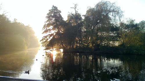 Photo of lake, trees and ducks at sunset
