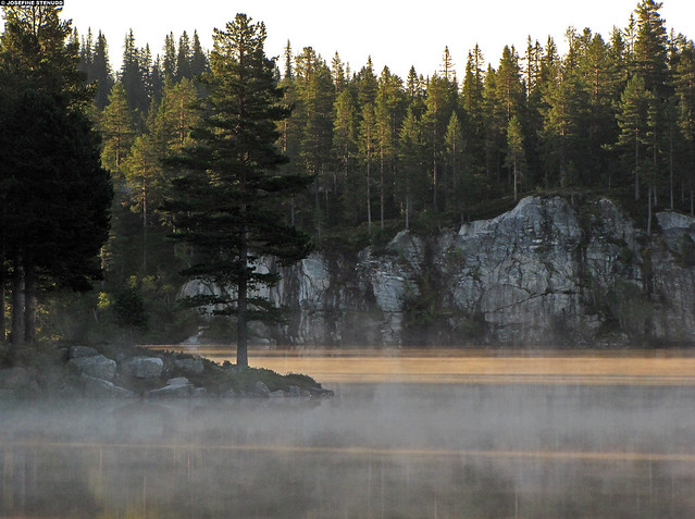 20110813_4 Morning mist on lake | Southern Norway