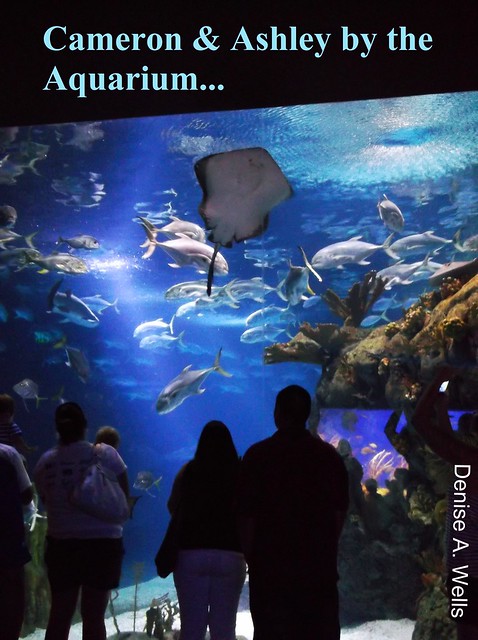 C-Ash (Cam n Ash) at the Shark Tunnel & Aquarium, Omaha NE - Denise A. Wells