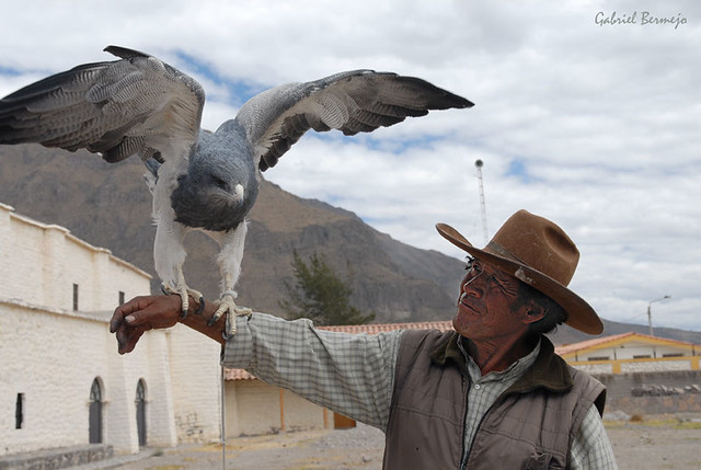 Aguila de los Andes y señor con sombrero - Perú