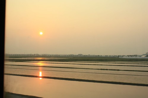 sunset japan rice harvest plantation arroz 県道彦根近江八幡線25彦根市hikonecity滋賀県shigaprefecturejapan