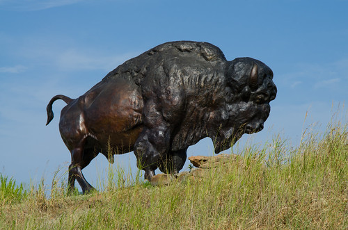art oklahoma statue bison sapulpa oklahomacentennial jimgilmore guardianoftheplains