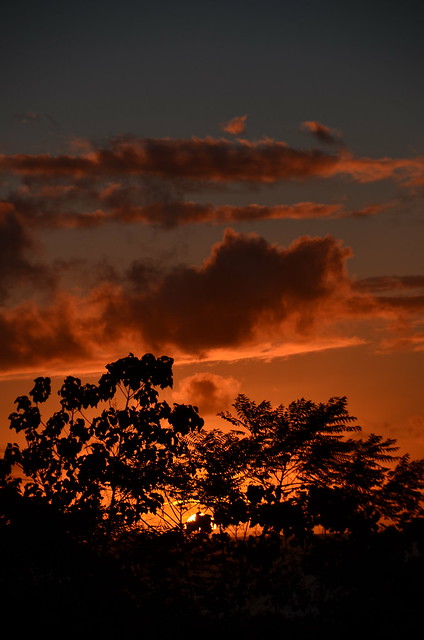 Sunrise in Puna (DSC_4480)