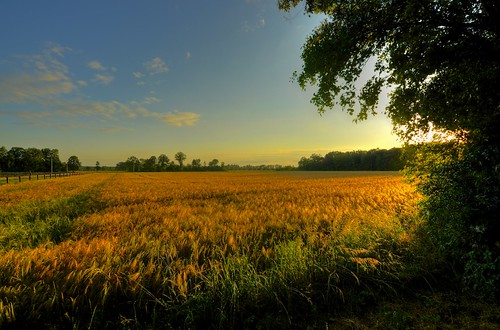 Wiese und Acker 3 | by Sunstonecruiser