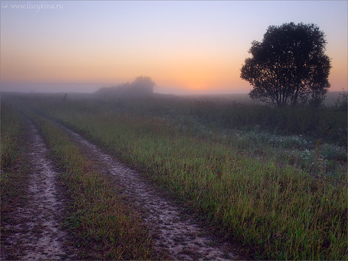 road summer field fog sunrise landscape russia moskovskaya moscowarea podmoskovie aleksandrovka