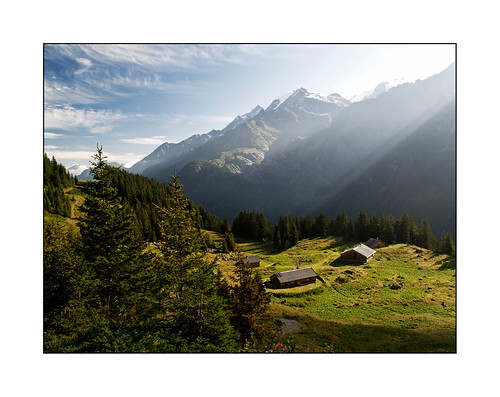 france tree montagne alpes landscape savoie paysage arbre moutain bergerie randonnée sheepfold yesssslasavoie