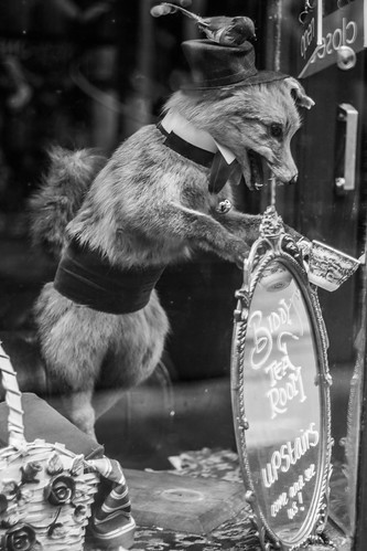Stuffed Fox | by Lizzy Vale