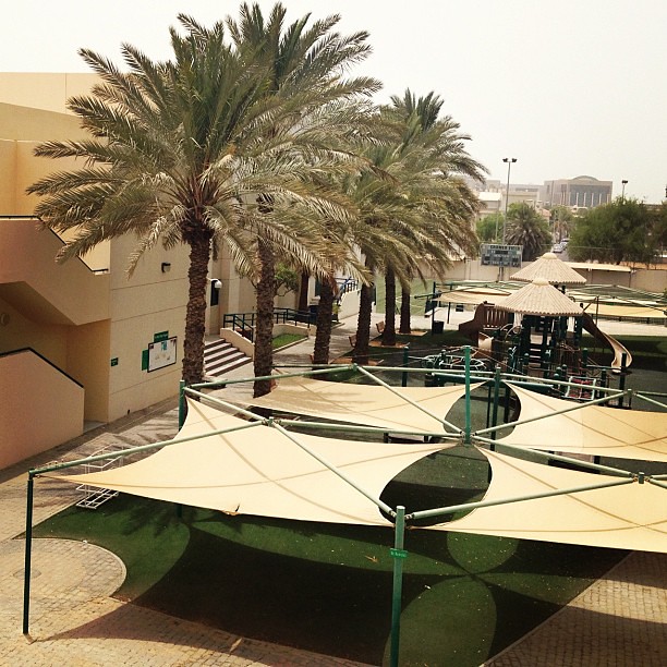In the middle of American Community School of Abu Dhabi