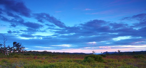 trees sunset grass clouds landscape flat nsw robertson budarooplateau