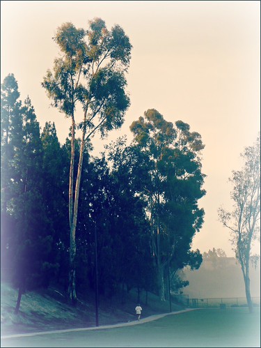Walk in the Park | by Oh Kaye