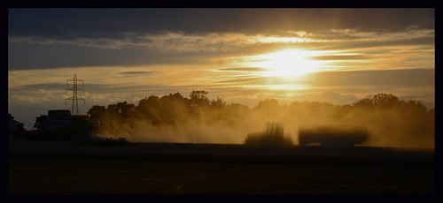 Moisson à Herblay by jackcolle, L'impression d'être encore à la campagne .....à 30 km de Paristracteur moisson herblay