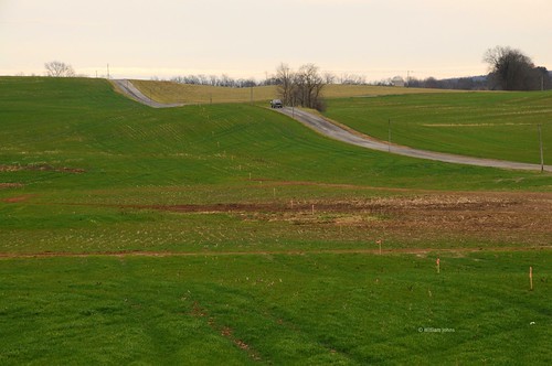 Country road, road field rural country lane