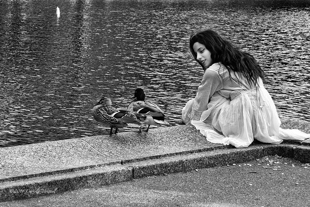 Two Ducks and a Girl