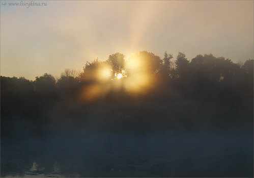 summer sun sunlight lake fog sunrise landscape pond sunrays moscowarea podmoskovie