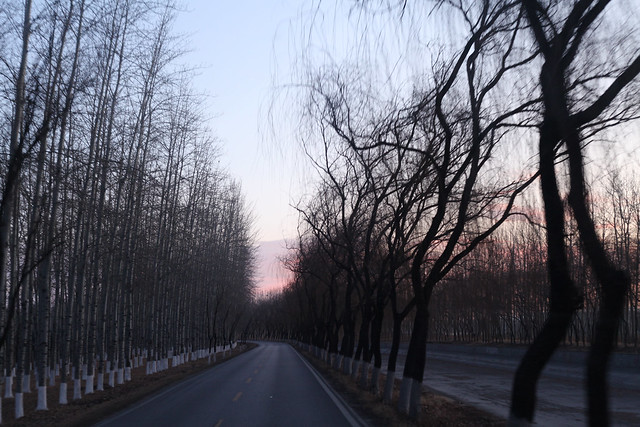 beijing - early morning drive 2