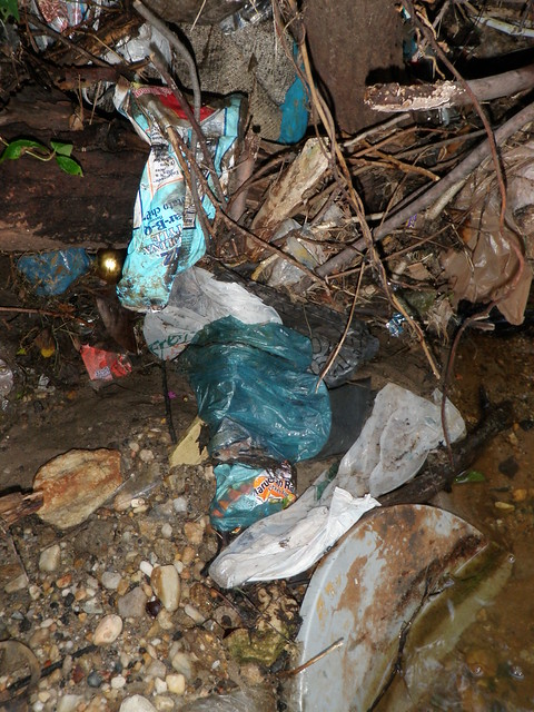 Conditions in the Berkshire section of Bread and Cheese Creek before our Fall 9/15/12 cleanup.