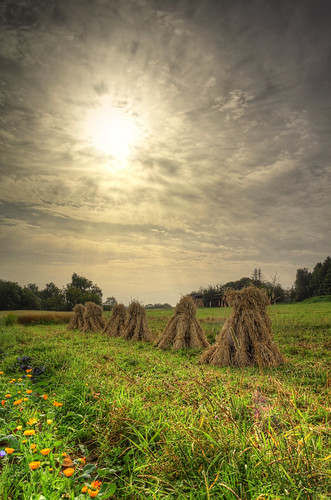 sky cloud sun nature backlight clouds landscape scenery skies hessen cloudy details country natur cereal meadow wiese himmel wolke wolken land sunburst landschaft sonne hdr hdri gegenlicht puppen ernte wolkig sunstar garben getreide sheaf photomatix ldk haiger enhancer garbe hocken lahndillkreis getreideernte sonnenstern lahndill getreidepuppen getreidehocken