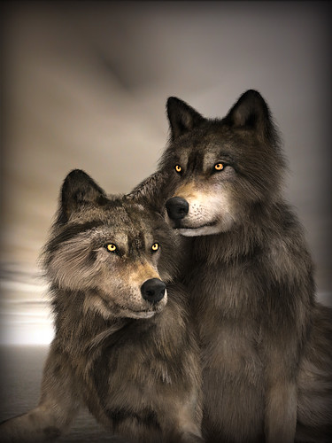 Wolves | by luannemckibbin