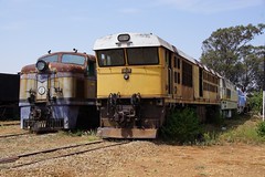 Class DE2, no. 1200 and Class DE 8B, no. 1837, Railway Museum, Bulawayo, Zimbabwe. 10.10.2016.