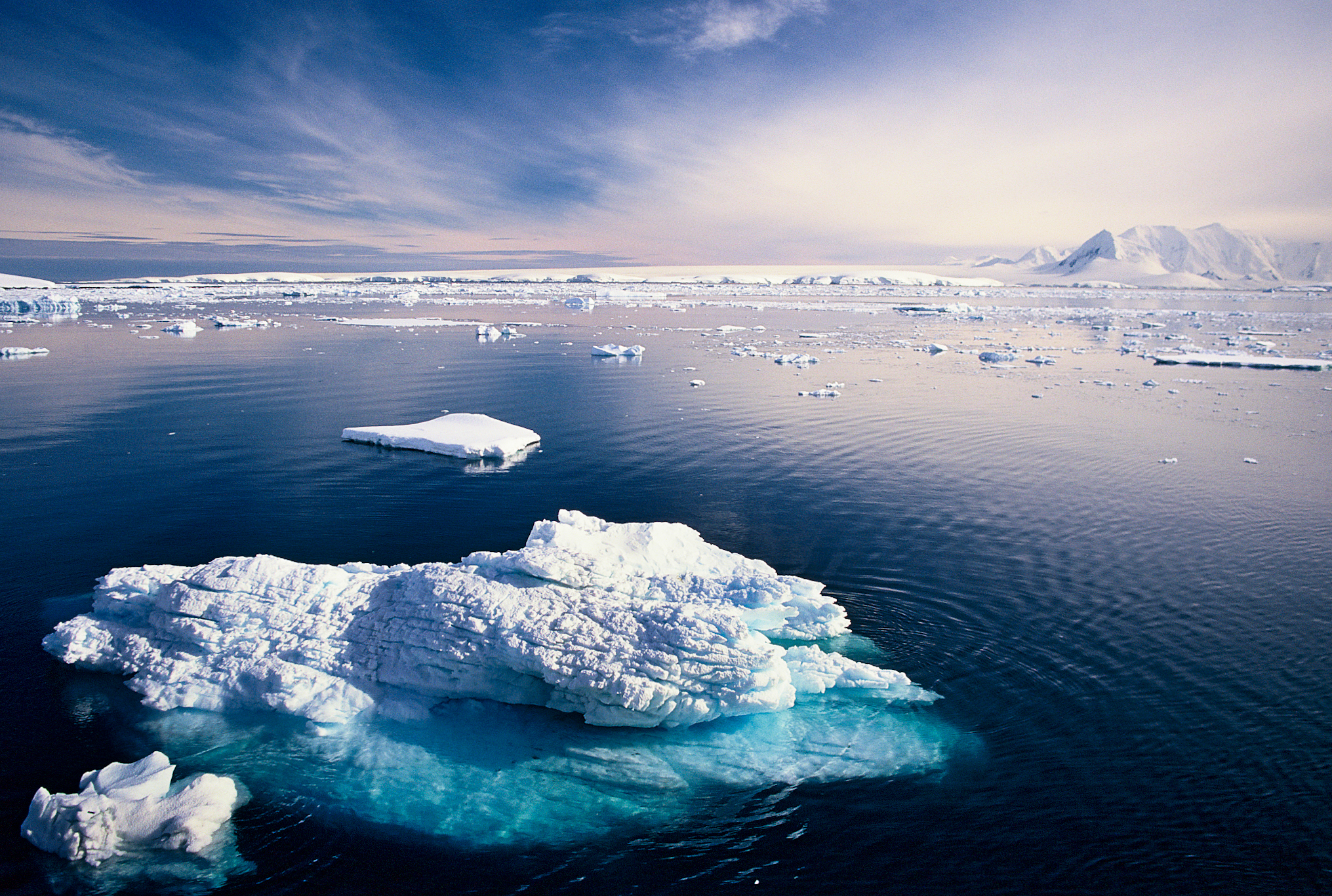 Южный океан природа. Море Уэдделла в Антарктиде. Озеро Уэдделла. Южный Ледовитый океан. Океан Северный Ледовитый океан.