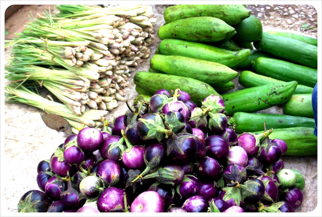luang prabang morning market vegetables