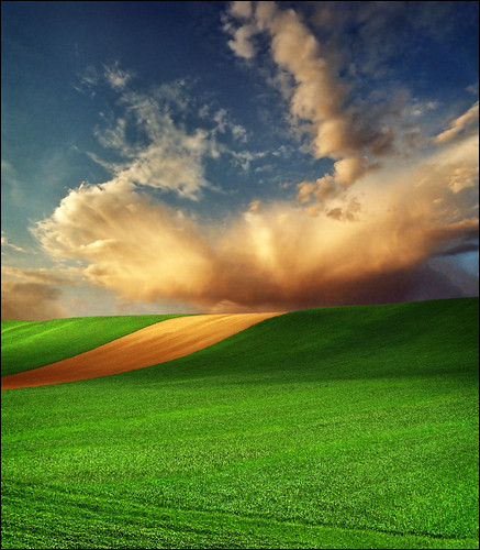 landscape paisaje nature fields serbiainspired spring katarina2353 valley nikon photopainting light shadows sunset katarinastefanovic photography green rolling hills expansion peace film empty space lines infinite agriculture image paysage photo gettylicense growth outdoor field fantasy fall exclusive