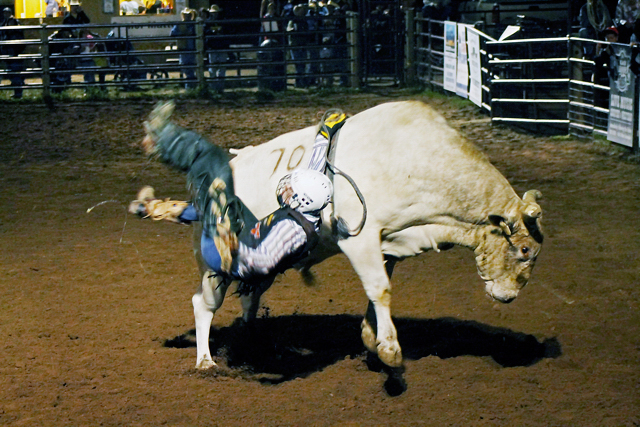 2012 Carbondale Wild West Rodeo Photos