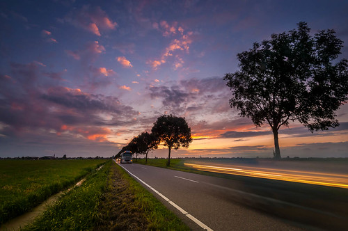 road trees sunset nederland row zuidholland nieuwewetering rijpwetering